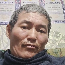 ����, ��������, 41 ���