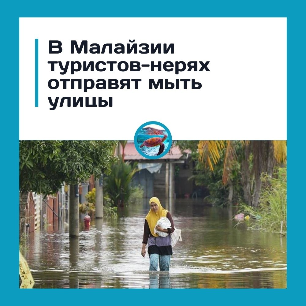 ��poc�� ��cop � ��� ���� ��a�e��: a�a���� ��e�a �c���e �ep�.� 1 ���ap� 2026 �o�a � a�a���� �a�a�� ...