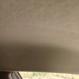, 57 , 