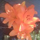 ���� ������, ���������, 43 ���� - ��������� 26 ������ 2024 � ������ ���� ����������