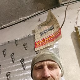 , 56, 