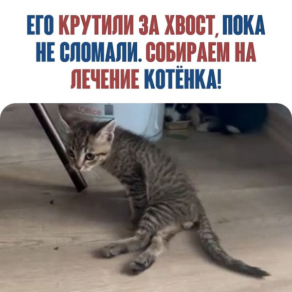    ,    .  ,    !  ...