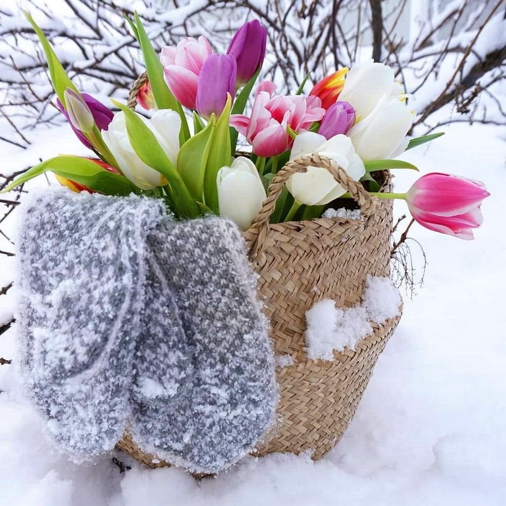   --   https://fotostrana.ru/away?to=/sl/ZC4