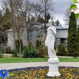 ����, ���������, 80 ���