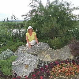 ������� )))*, �������, 70 ���