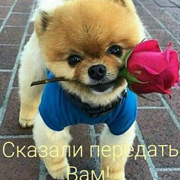 ���� �������, ������, 38 ��� - ��������� 12 ������� 2025