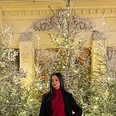 ���� �����, ������, 23 ���� - ��������� 27 ����� 2026