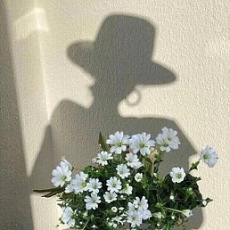 ����, ������, 70 ���