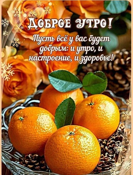   - 8  2024  07:09