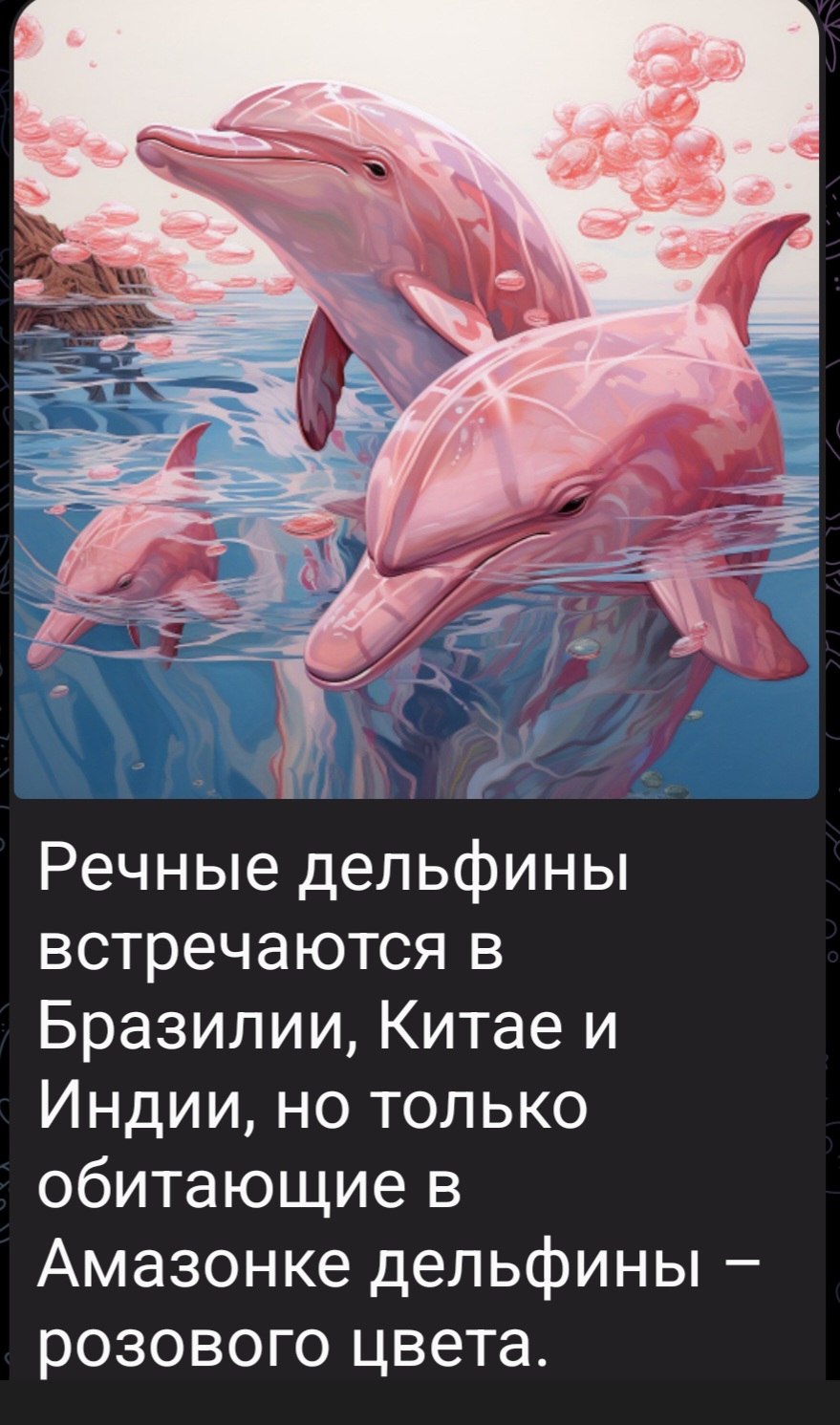 s - 29  2024  21:53