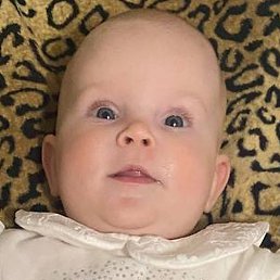 Asya, �����, 23 ����