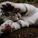 ���� ������, �������, 55 ��� - ��������� 4 ������� 2024 � ������ ������ ��������