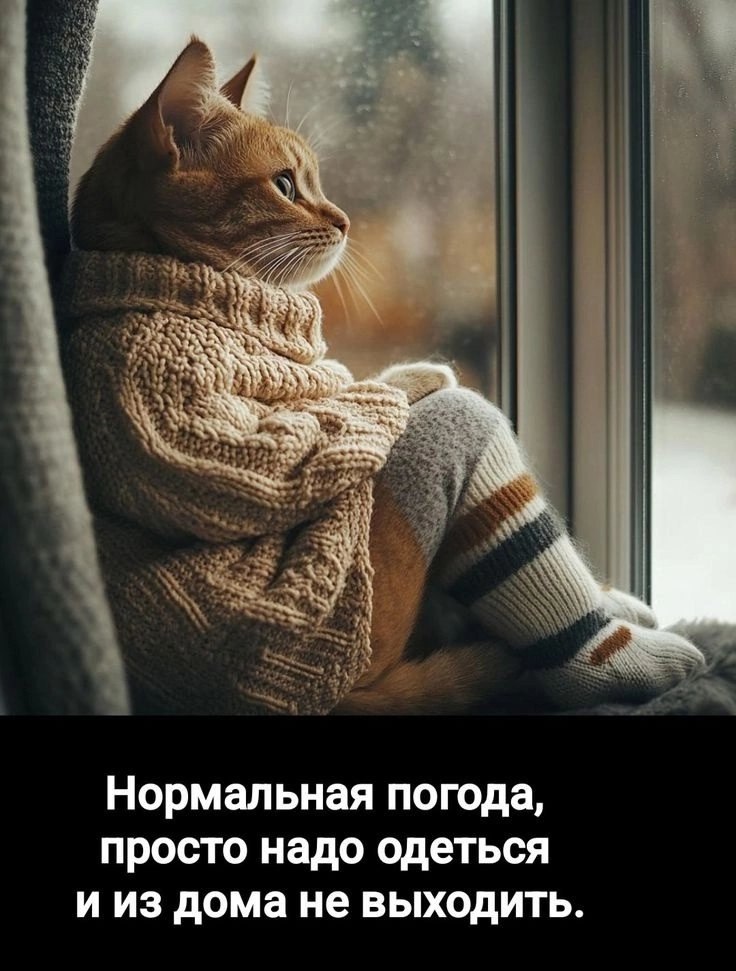  - 2  2025  16:33