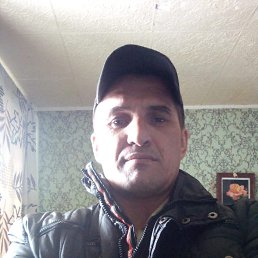 , 37, 