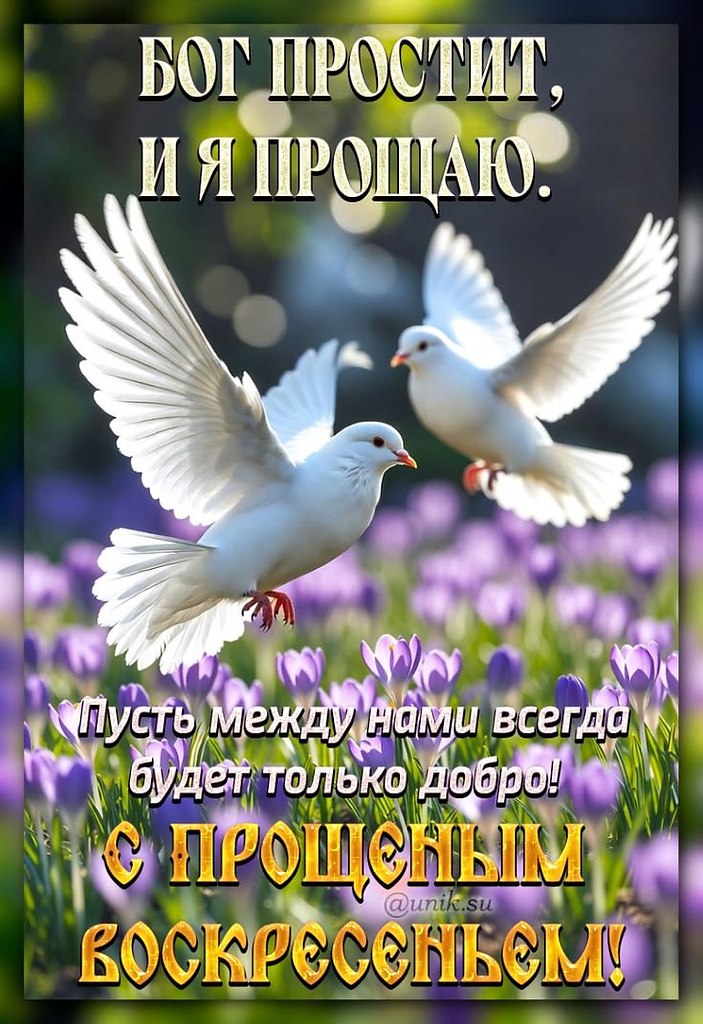 ���� �� ���������(������) - 22 ������� 2026 � 08:50