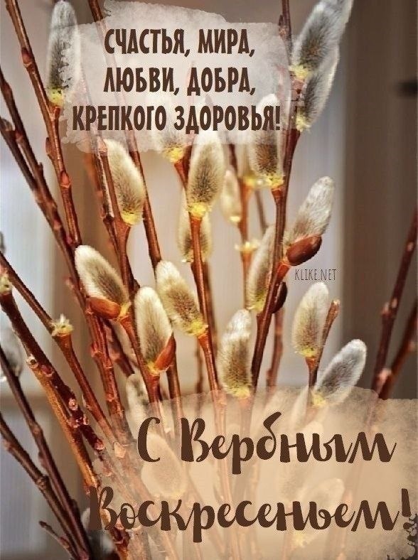  - 13  2025  19:53