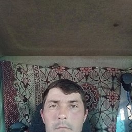 , 36, 