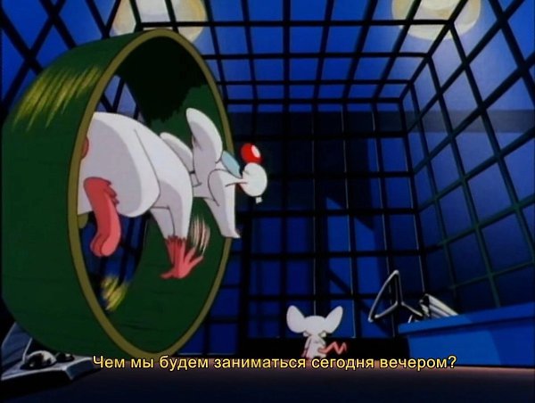 Pinky and the Brain /   , 1995  1998 - 2