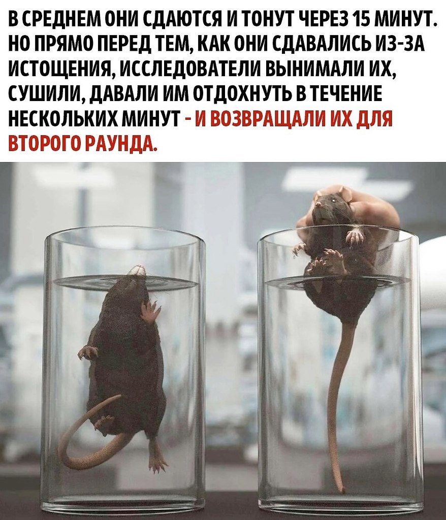 -    - 2