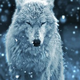 ���� ������, �����, 44 ���� - ��������� 6 ������ 2023