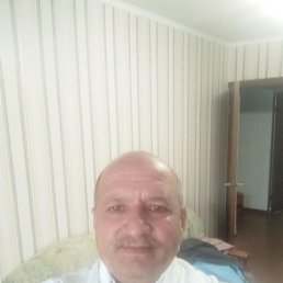 , 55, 