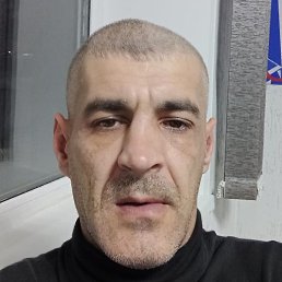 �������, ������, 41 ���