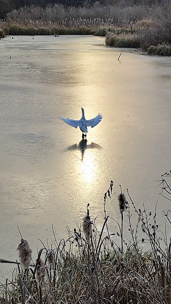 �� ������� � ���������...