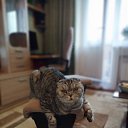 � ��� ���� �� ������� ������ ��������