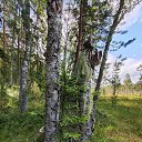 ���� �������, ������ - ��������� 9 ���� 2026 � ������ ������ ��������