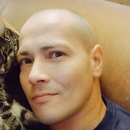 �������, ���