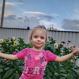 �����, ������, 36 ���