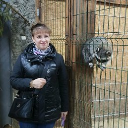 , 41 , 