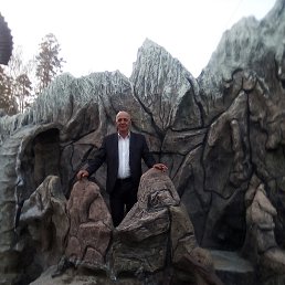 , 54, 
