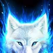 ˸��, 20 ���, ���������