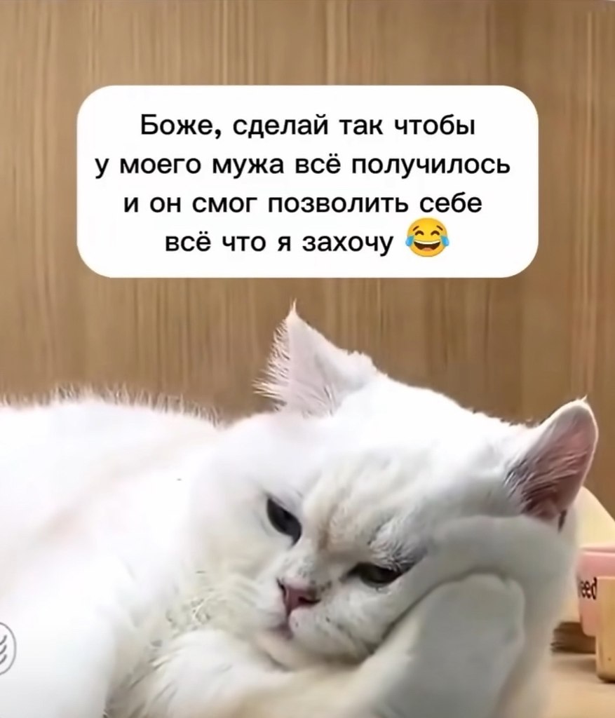  - 3  2025  12:01