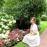 �����, 29 ���, ���������