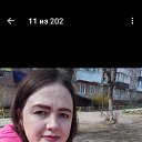 ���� ����, �����������, 41 ��� - ��������� 2 ����� 2024 � ������ ���� ����������