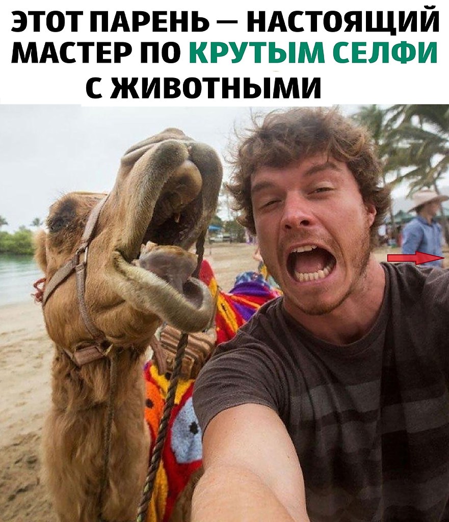     !  