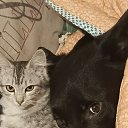 ���� ��������, ������, 51 ��� - ��������� 6 ������� 2025 � ������ ������ ��������