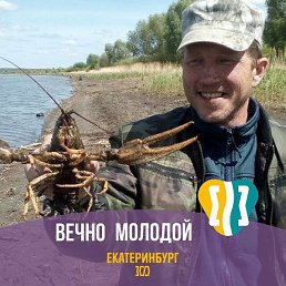 ����, ������, 50 ���