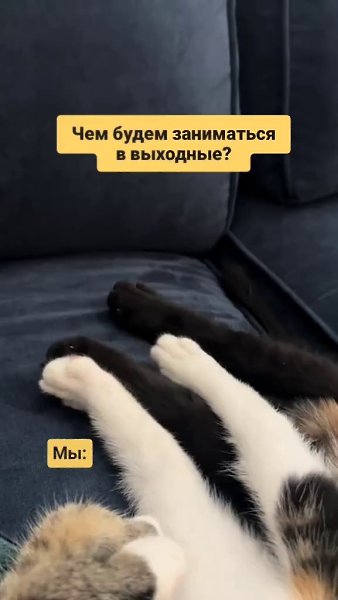 ������� � ��������: - 2