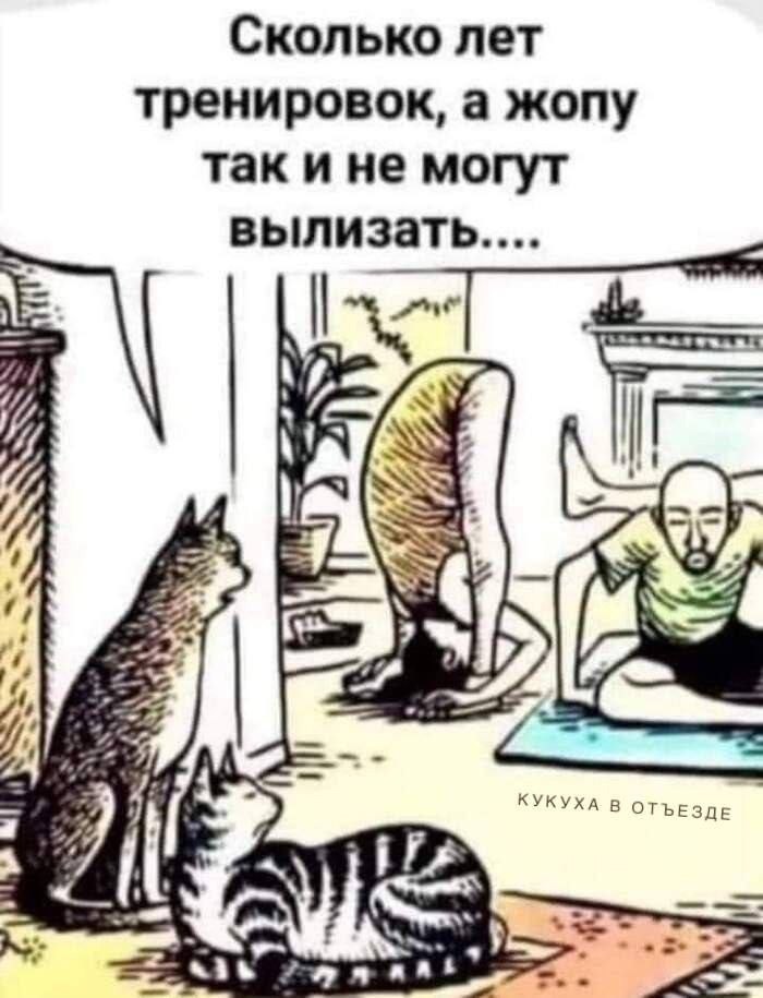  - 11  2024  09:29