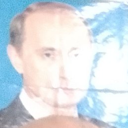 ������, ����, 51 ���