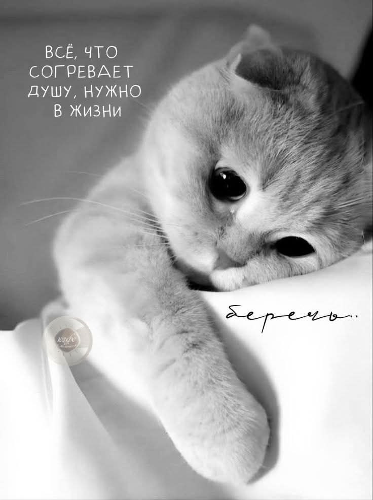   - 14  2025  06:00