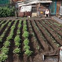  , , 51  -  26  2024   24  !!!!!!!!!!!!!!