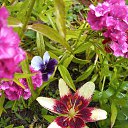 ���� ������, �����-���������, 62 ���� - ��������� 24 �������� 2025 � ������ �������