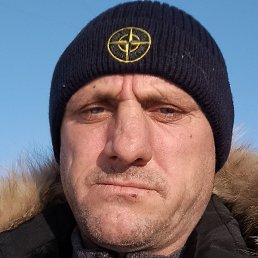 ��������� �������, ����������, 43 ����