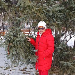 ������, ������, 60 ���