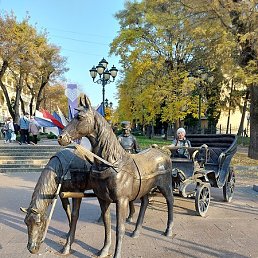 �����, �������, 64 ����