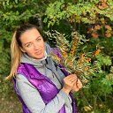 ���� ������, �����-���������, 27 ��� - ��������� 11 ���� 2025 � ������ ���� ����������